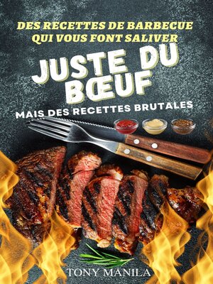 cover image of Des Recettes De Barbecue Qui Vous Font Saliver